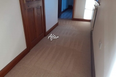 After carpet cleaning 6 bedroom house