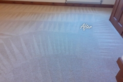 After carpet cleaning 6 bedroom house