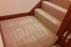 After carpet cleaning 6 bedroom house