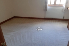 After carpet cleaning 6 bedroom house