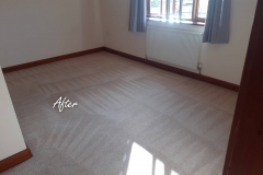 After carpet cleaning 6 bedroom house