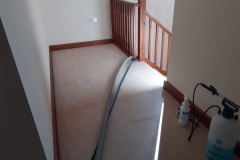 Carpet cleaning in 6 bedroom house