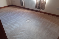 After carpet cleaning 6 bedroom house