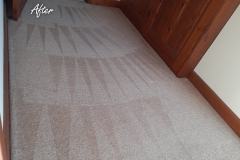 After carpet cleaning 6 bedroom house