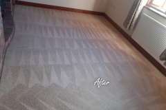 After carpet cleaning 6 bedroom house