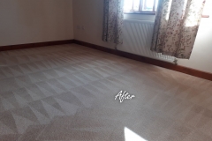 After carpet cleaning 6 bedroom house