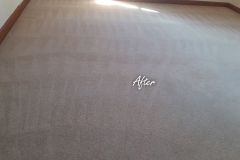 After carpet cleaning 6 bedroom house