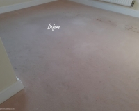 Carpet cleaning and stain treatment in Stourport-on-severn