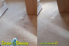 Mascara stain removal with carpet cleaning