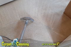 A significant difference during carpet cleaning