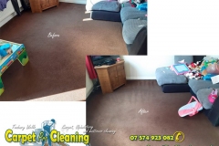 Before / After carpet cleaning