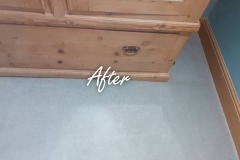 AfterCarpet Cleaning - mascara stains, gone!