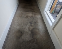 Carpet cleaning in Ludlow area. Very dirt carpets