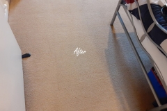 Carpet Cleaning in Worcester