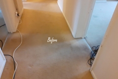 Carpet Cleaning in Worcester