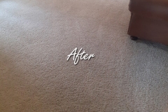 After carpet cleaning room 1