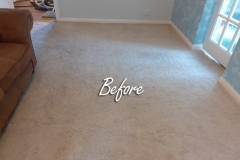 Before carpet cleaning room 1