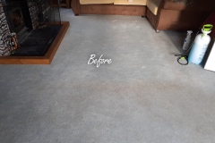 Before carpet cleaning