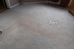 Before carpet cleaning