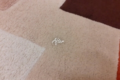 Rug after cleaning.  A clear difference