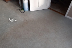 Before carpet cleaning