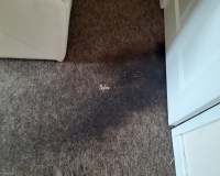 Extremely dirty carpet