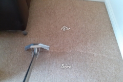 Cleaning living room carpet. A significant difference