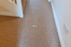 After corridor carpet  cleaning