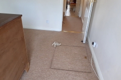 After corridor carpet  cleaning