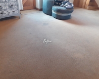 Carpet cleaning. Large size living room