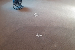 Before / After carpet cleaning. A significant difference