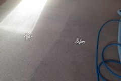 Before / After carpet cleaning. A significant difference