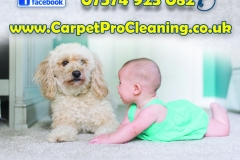 Carpet Pro Cleaning first leaflets