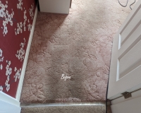 Pink carpet cleaning