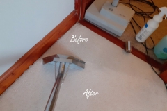 Hot water extraction after carpet cleaning