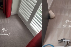 Before and After stunning carpet cleaning result