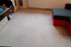 Before carpet cleaning in apartment in Tenbury