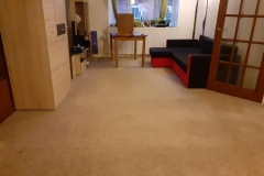 After carpet cleaning in apartment in Tenbury