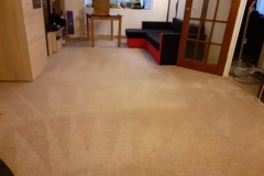 After carpet cleaning in apartment in Tenbury