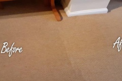 Before and After carpet clenaing