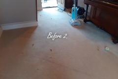 Before. Two room carpet cleaning. Light pet stains