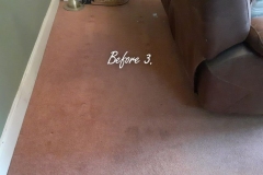 Before deep carpet cleaning, pet stains removal and deodorizing