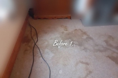 Before deep carpet cleaning, pet stains removal and deodorizing