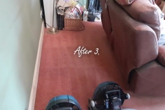 Aftermath of deep carpet cleaning, pet stains removal and deodorizing