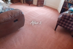 Aftermath of deep carpet cleaning, pet stains removal and deodorizing