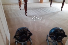 After. Two room carpet cleaning. Light pet stains