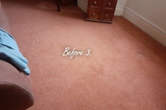 Before carpet cleaning, pet stains removal and deodorizing