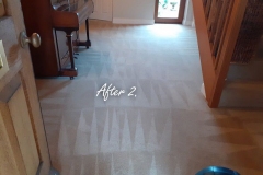 After. Two room carpet cleaning. Light pet stains