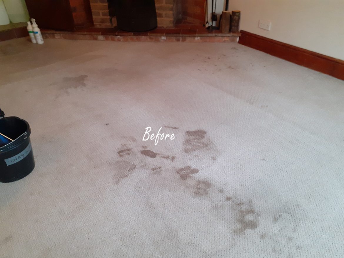 End of tenancy carpet cleaning in Bridgnorth