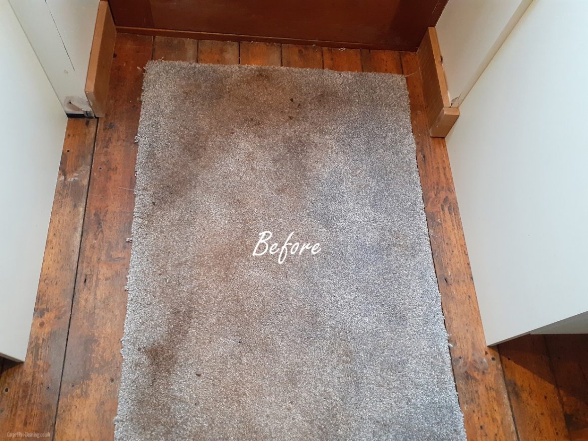 Carpet cleaning in Bleathwood